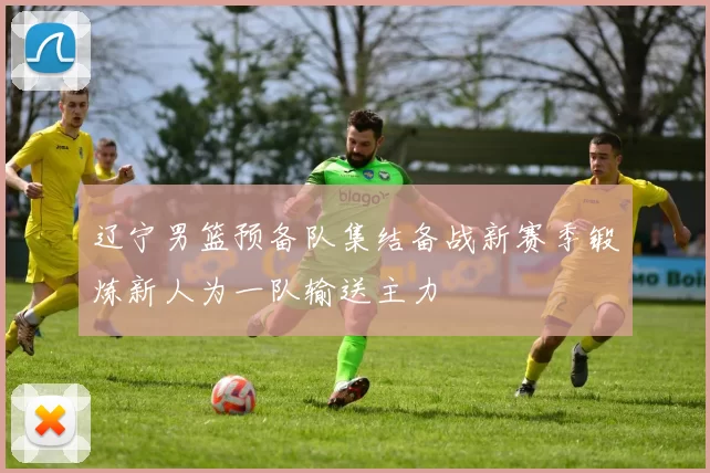辽宁男篮预备队集结备战新赛季锻炼新人为一队输送主力