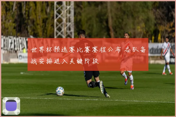 世界杯预选赛比赛赛程公布 各队备战安排进入关键阶段