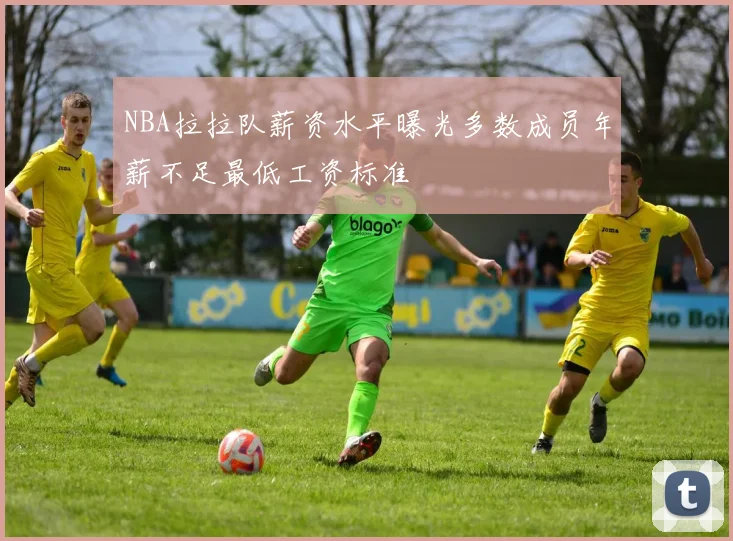 NBA拉拉队薪资水平曝光多数成员年薪不足最低工资标准